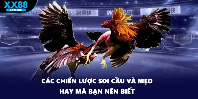 Các chiến lược soi cầu và mẹo hay mà bạn nên biết