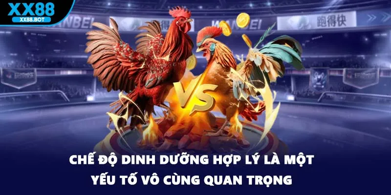 Chế độ dinh dưỡng hợp lý là một yếu tố vô cùng quan trọng