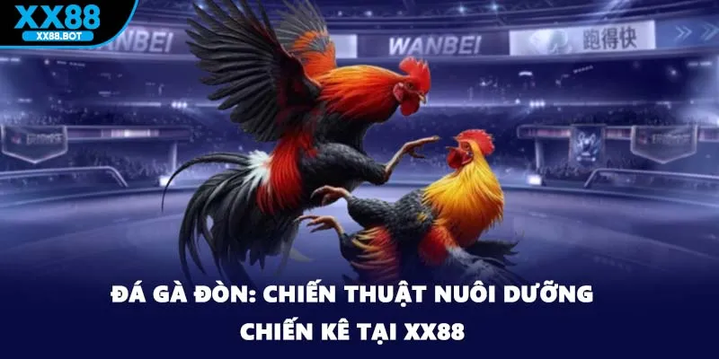 Đá Gà Đòn: Chiến Thuật Nuôi Dưỡng Chiến Kê Tại XX88