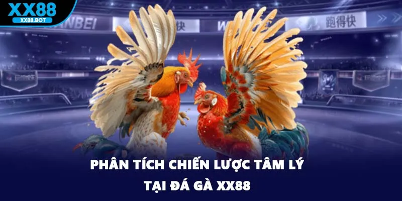Phân tích chiến lược tâm lý tại đá gà XX88