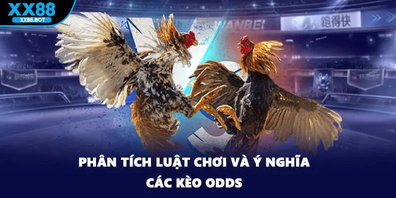 Phân tích luật chơi và ý nghĩa các kèo Odds
